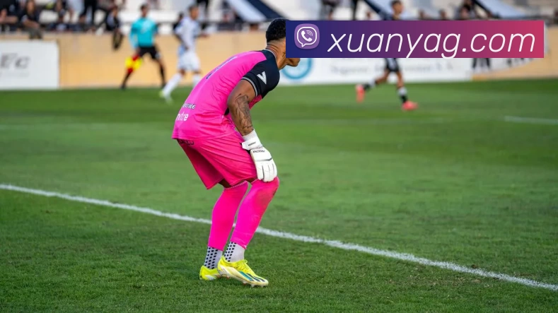 竞技宝官网 - 全球游戏赛事及体育赛事竞猜APP 封面图